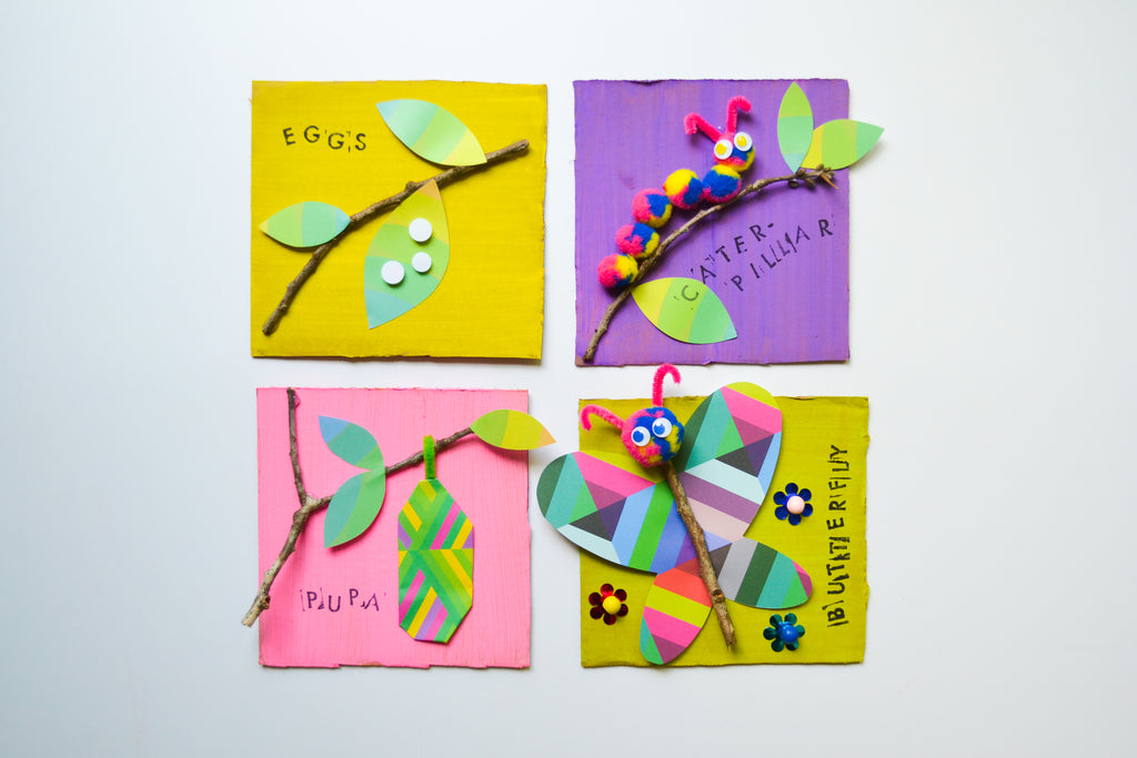 Butterfly Life Cycle Craft DIY