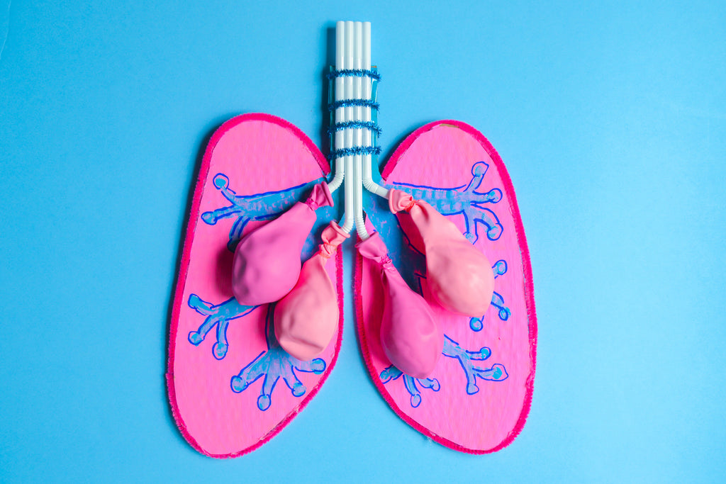 Learn How Your Lungs Work