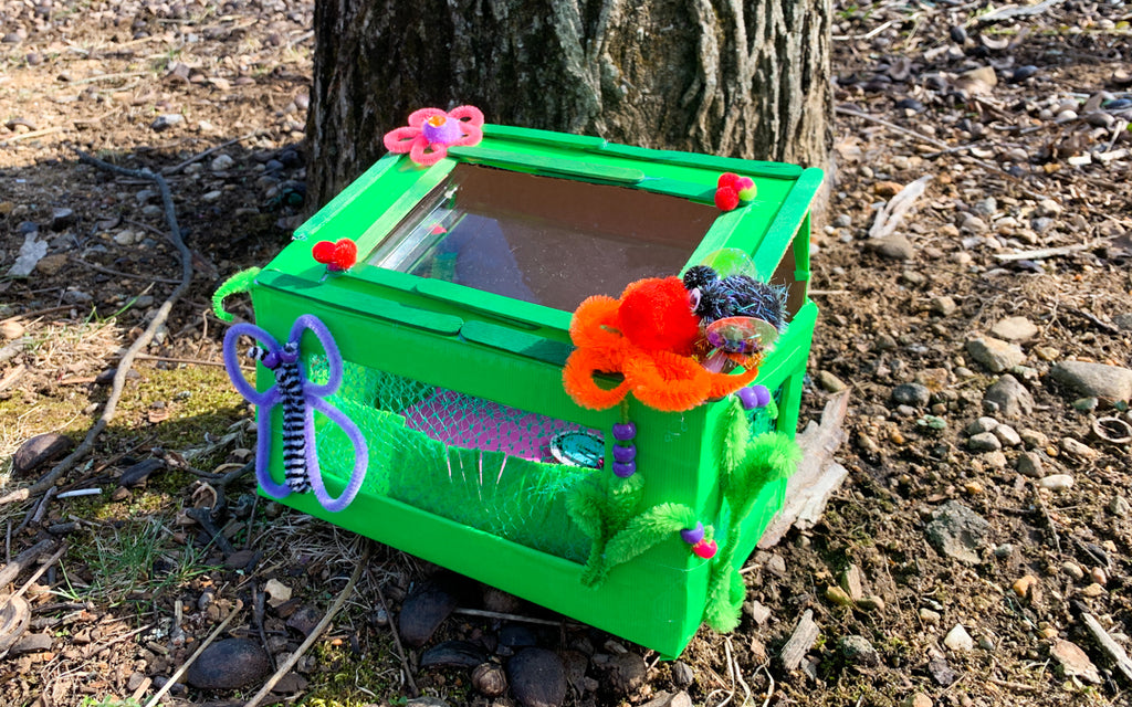 Diy Insect Containers DIY Bug Box | Kid Made Modern