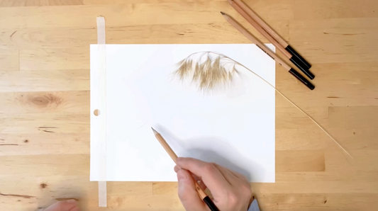 Nature Drawing Tutorial